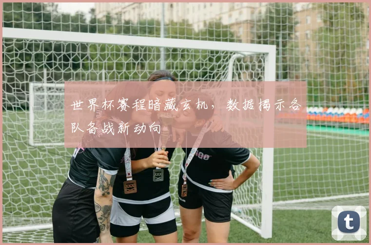 世界杯赛程暗藏玄机，数据揭示各队备战新动向